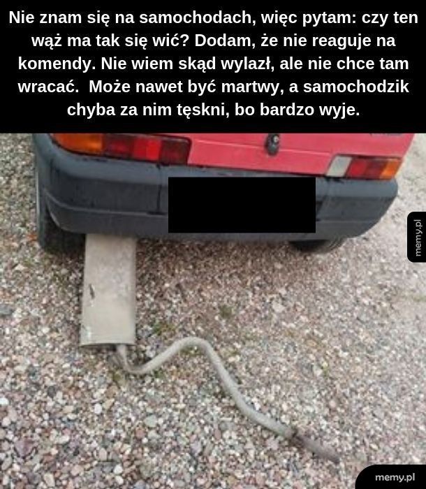 Tłumikuję swoje uczucia