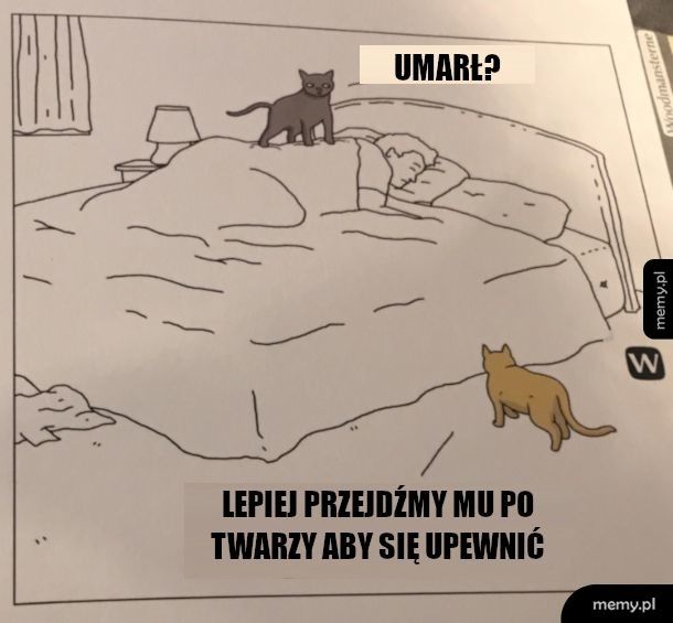 Nigdy nie ma pewności