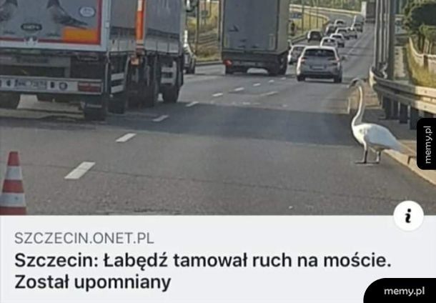 Obyło się bez mandatu