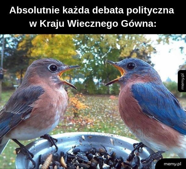 Politycy są mniej uroczy