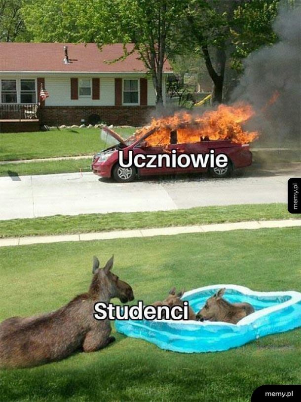 Tak to wygląda