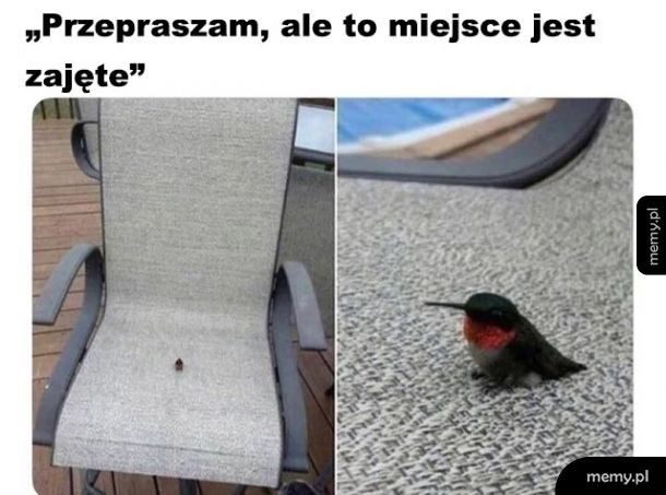 Zajęte