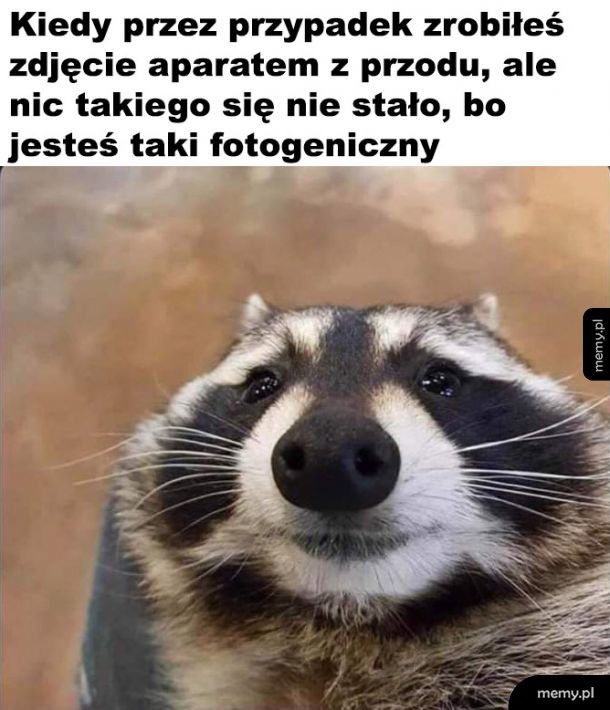 Fotogeniczność