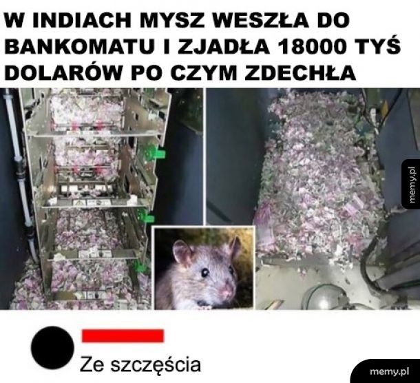 Przejadła się