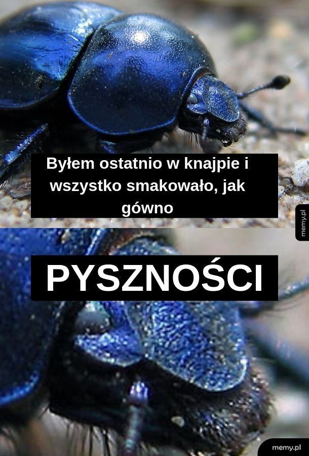 Pyszności