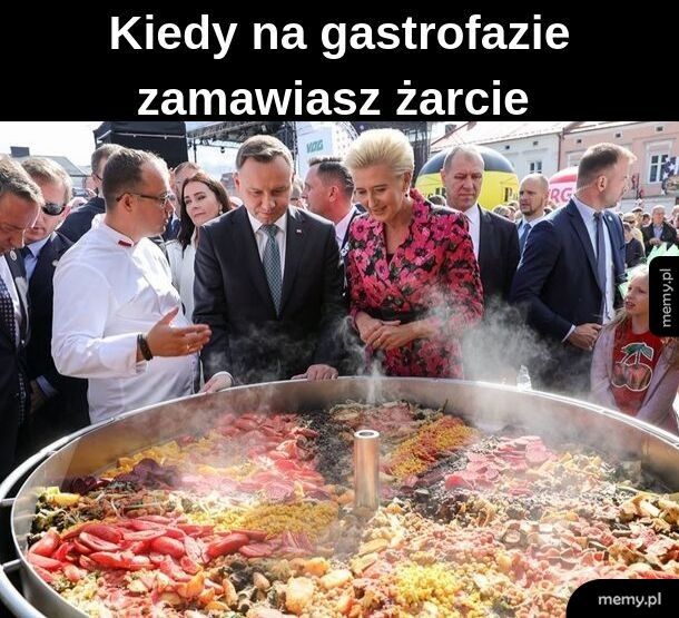 Gastrofaza