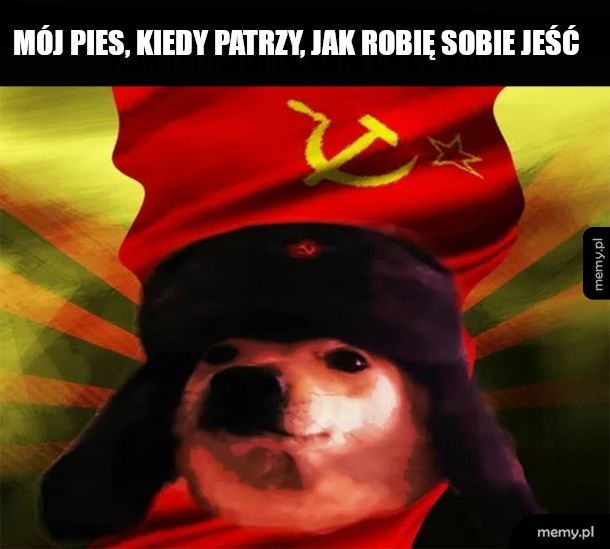 Pieseł