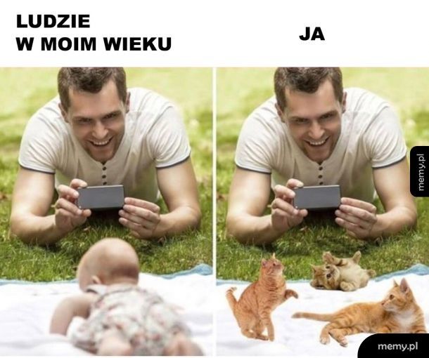 Tak to wygląda