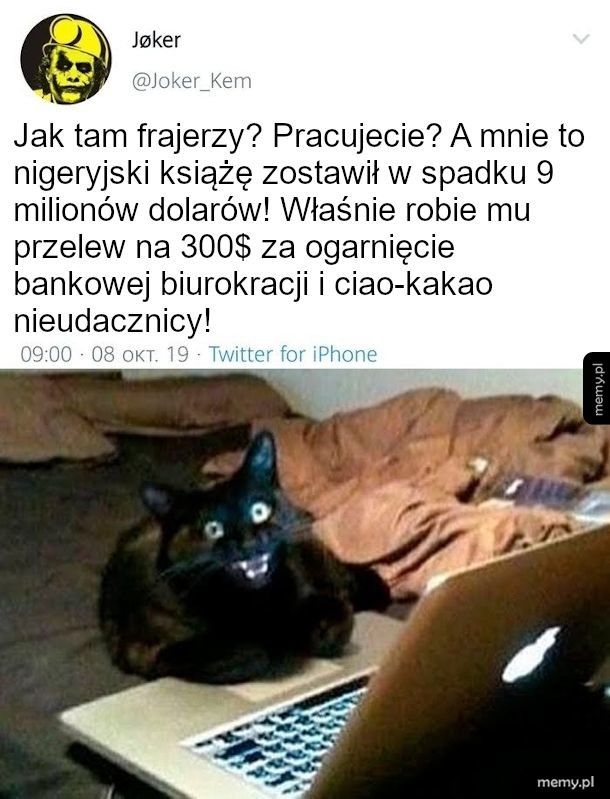 Będę balował do końca życia na Hawajach