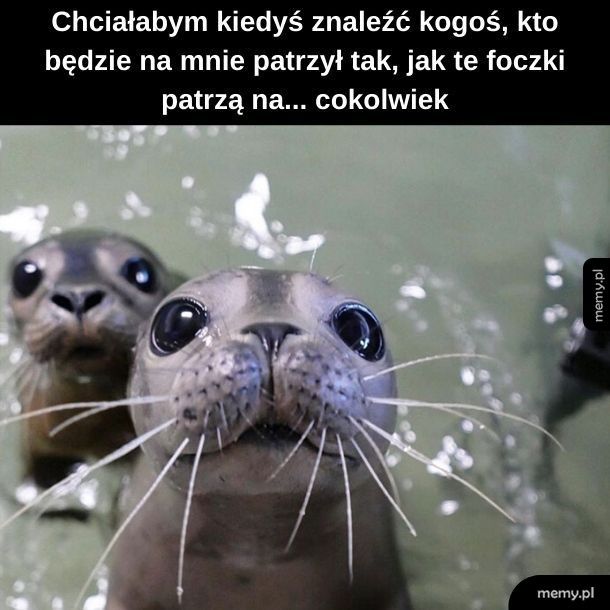 Kocham Cię, wodny piesku!