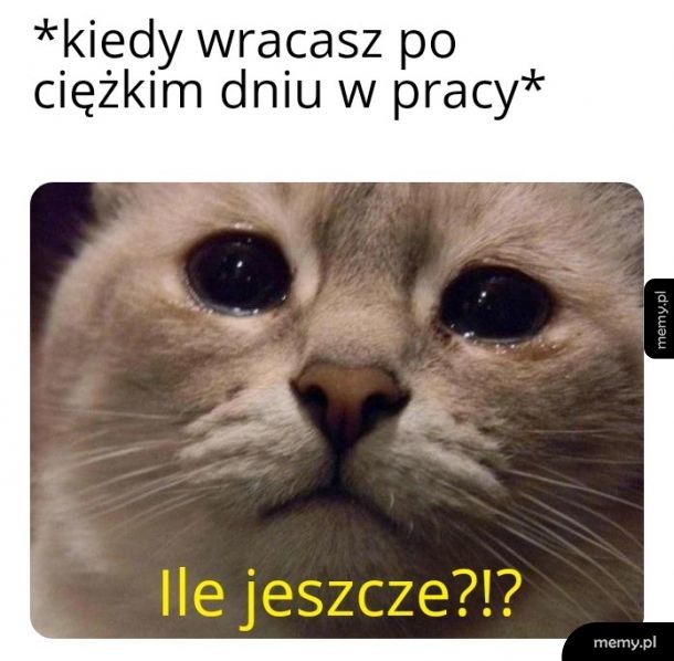 Po pracy