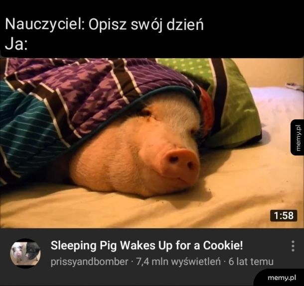 Każdy wolny dzień (i nie tylko)