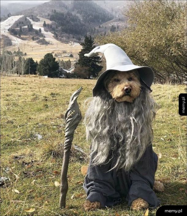 Gandalf