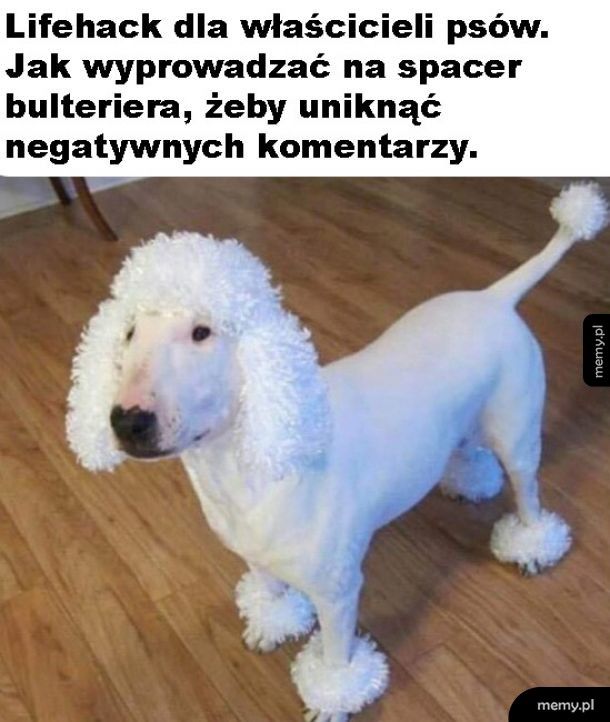 Już się nie będą bać