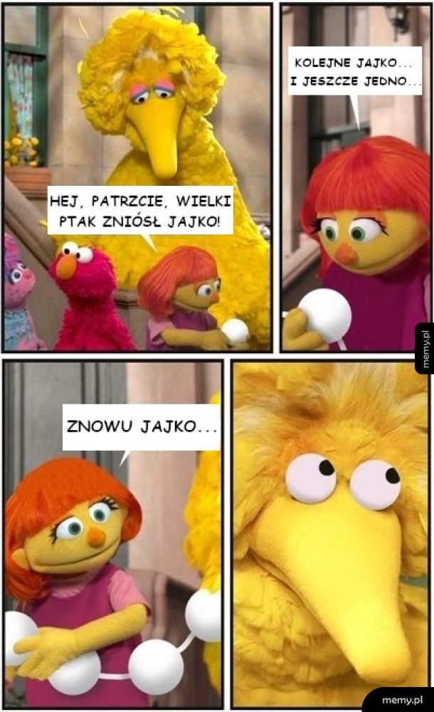 Ptaki znoszą jaja