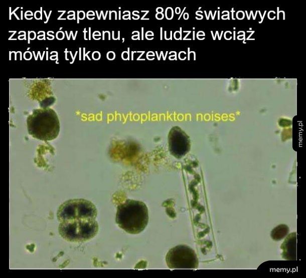 Oceany są dostawcą tlenu