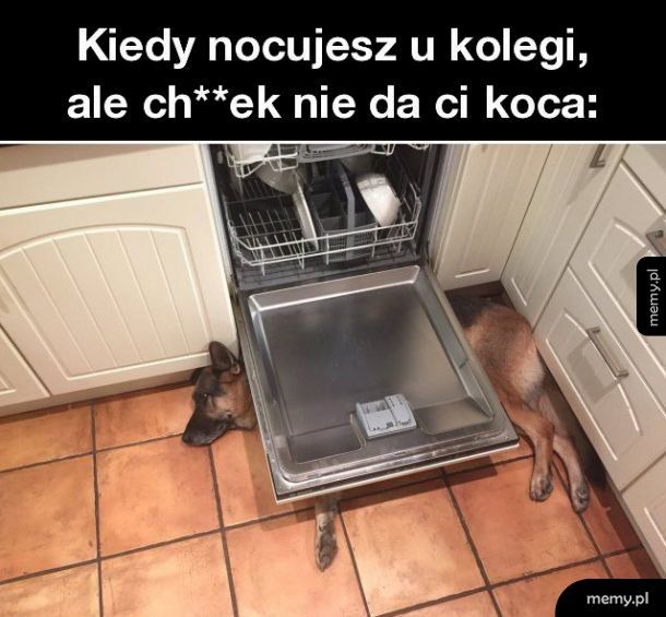 Kiedy nocujesz u kolegi