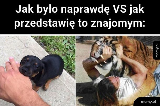 Tak było