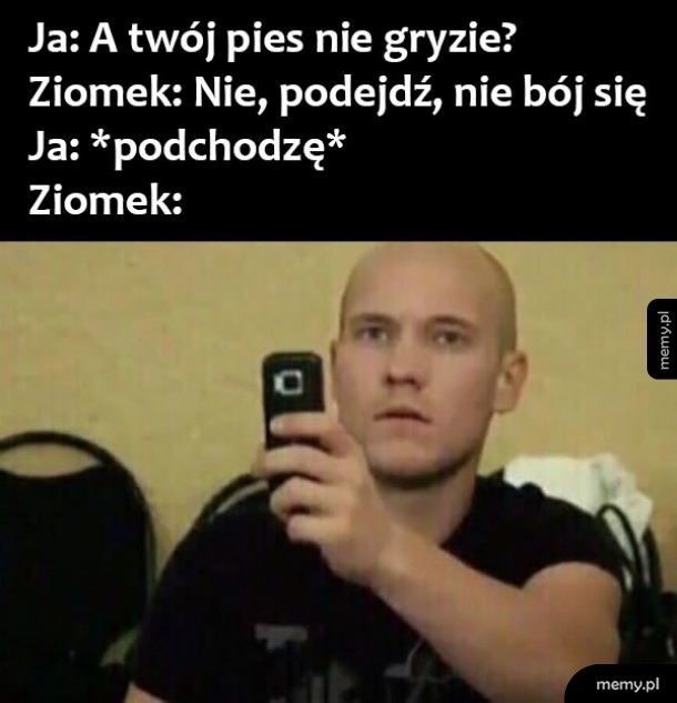 Ziomek