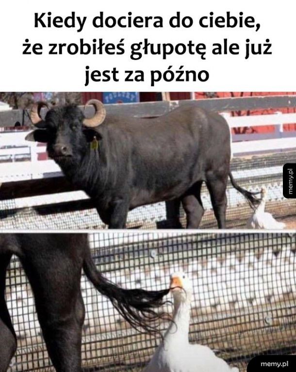 Za późno