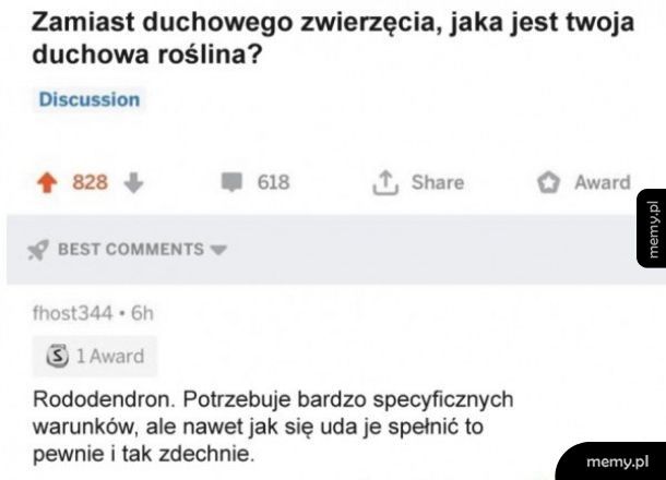 Duchowa roślina