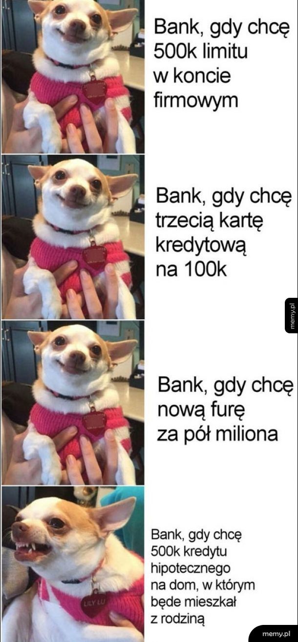 Banki takie są