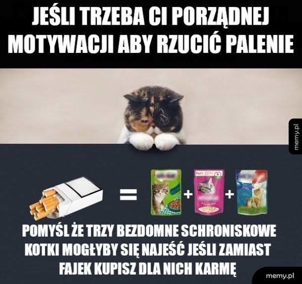 Motywacja