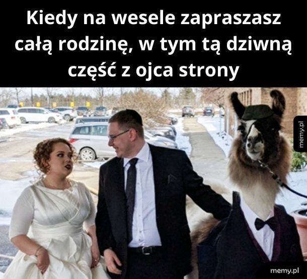 Warto było brać na to kredyt