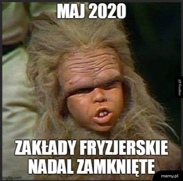 Fryzjer