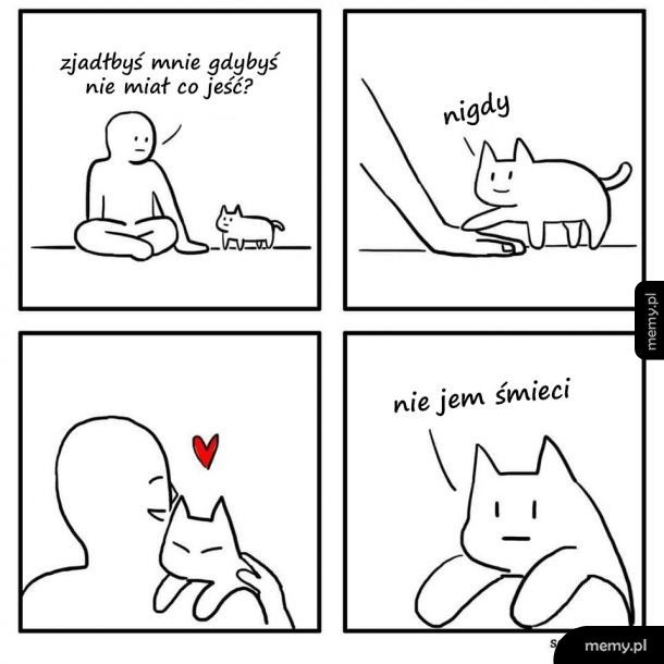 Kochany kotek