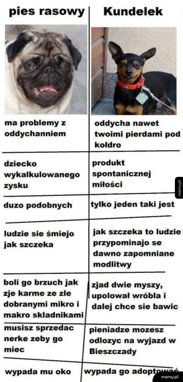 Różnica pomiędzy pieskami