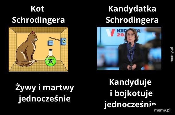 Kandydatka Schrodingera