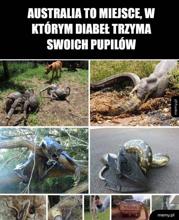 Wyspa na południu