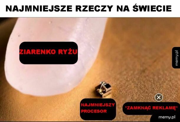 Najmniejsze rzeczy