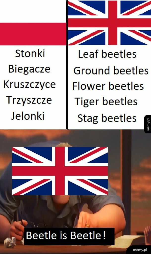 Beetles