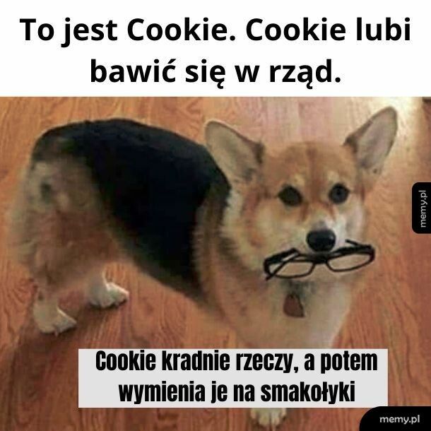 Cookie