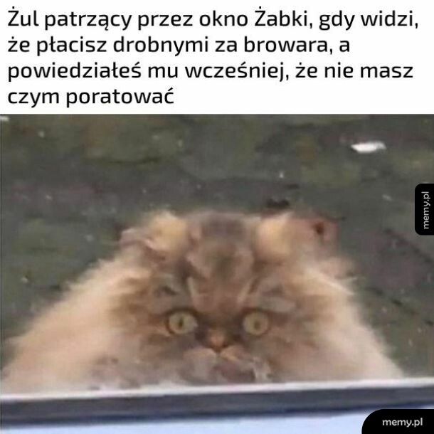 Wściekły żul