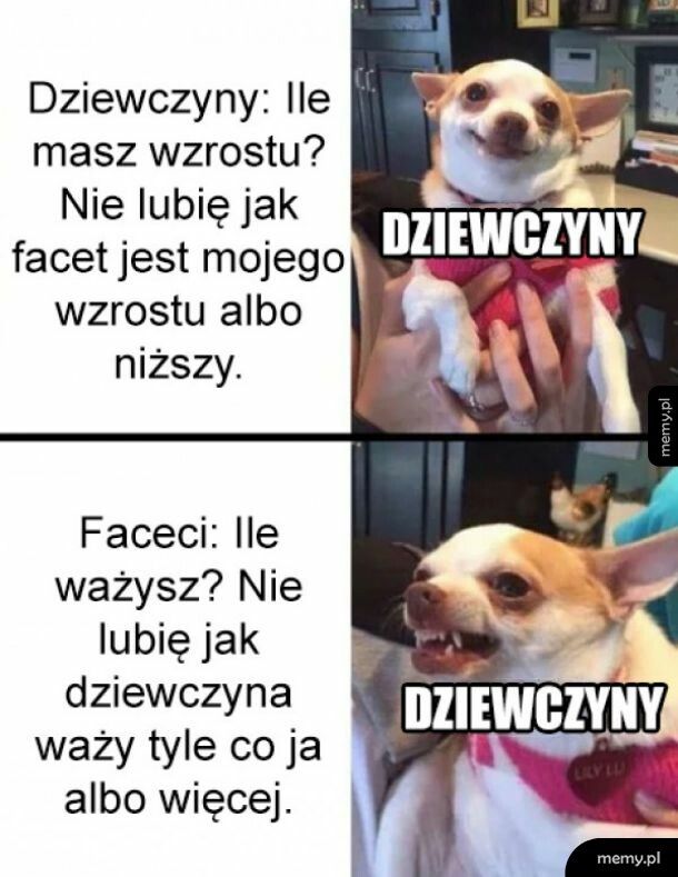 Laski takie są