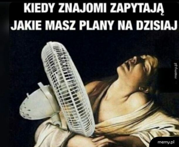 Moje plany na dziś