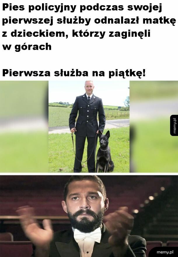 Dobry piesek