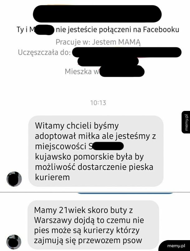 Buty, pies, dla karyny żadna różnica