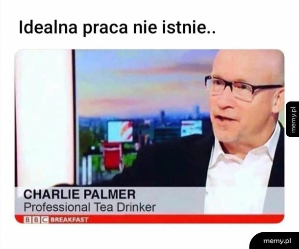 Idealna praca