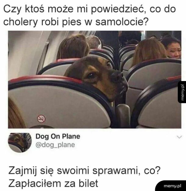 Nie interesuj się