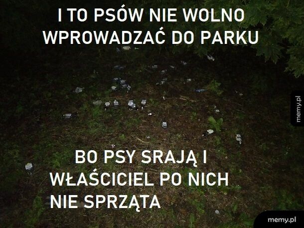 W parku