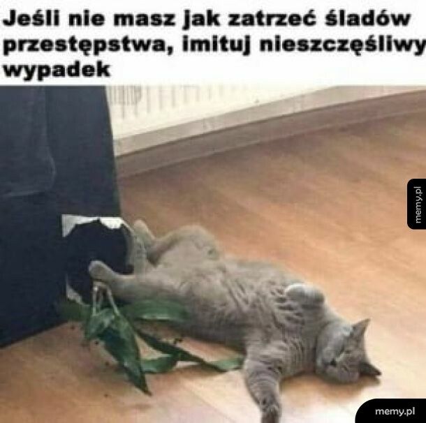 A co to się stanęło