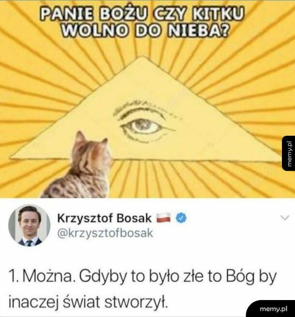 Kitku wolno do nieba