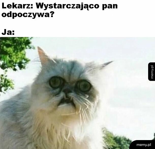 Memy odpoczynek / odpoczynek memy (#odpoczynek) - Memy.pl