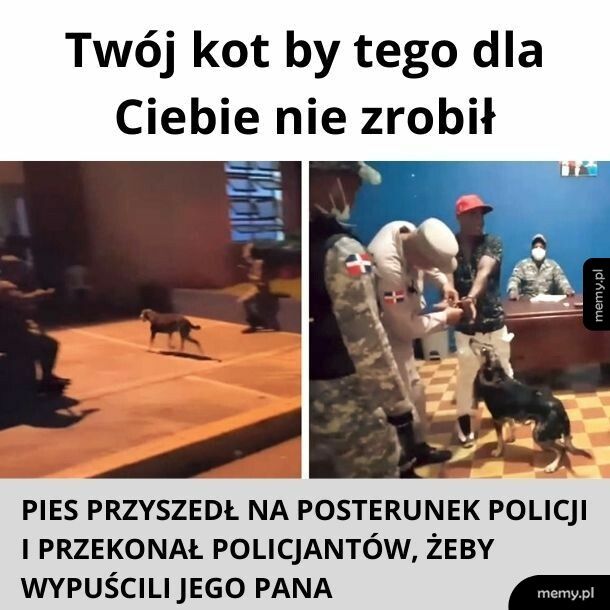 Zagadał, jak pies z psem