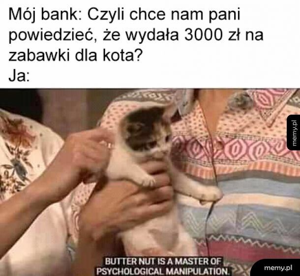 Cóż mogę rzecz