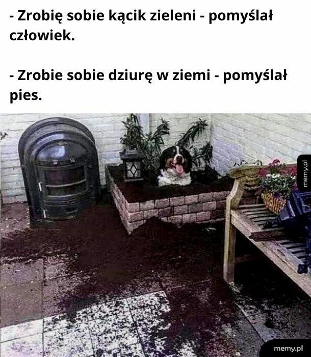 Dobrze pomyślał